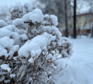 Снегопады накроют Урал